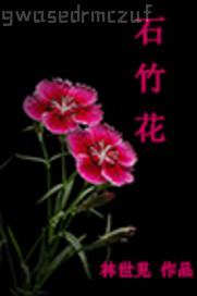 做愛小說的章節(jié)